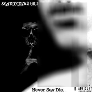 In Blood and Luxury (Bonus) (feat. Marc Rizzo) (Explicit)