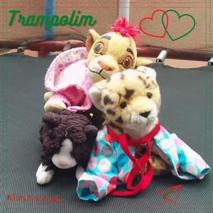 Trampolim