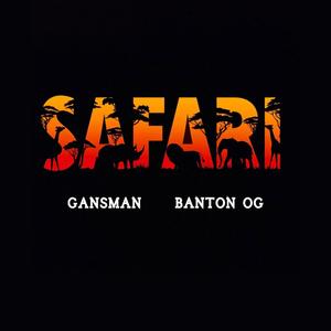 Safari