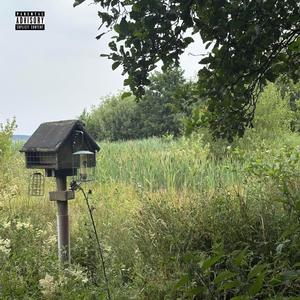 we should stop (Explicit)