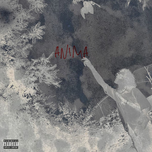 ANIMA (Explicit)