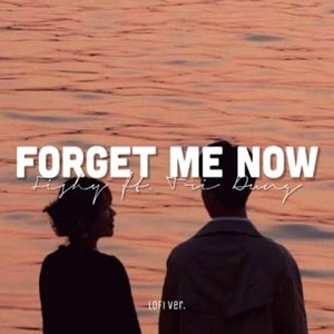 Forget Me Now(Lofi)