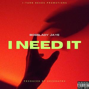 I NEED IT (Explicit)
