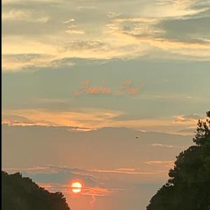 Flowers in Atlanta(Slowed + Reverb) (Explicit)