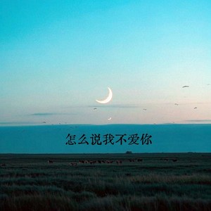 怎么说我不爱你-Love.
