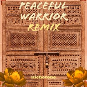 Peaceful Warrior (Remix)