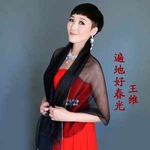 远方的家