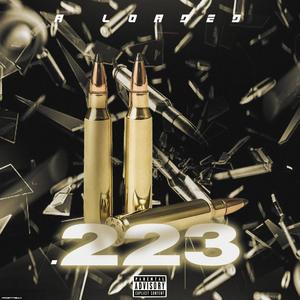 .223 (Explicit)