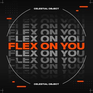 Flex On You (Explicit)