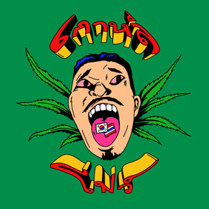 까올리 플로우 (gaolie flow)