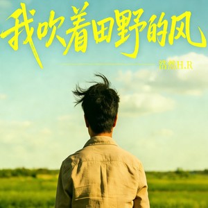 我吹着田野的风封面
