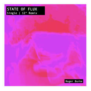 State of flux (12" Remix)