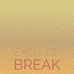 Exclude Break