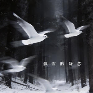飘雪的诗意 (伴奏)