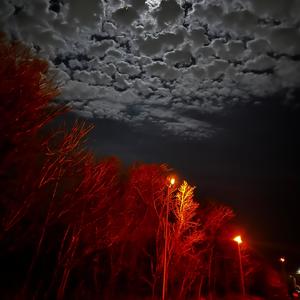 No more No less (feat. Propheci) (Explicit)