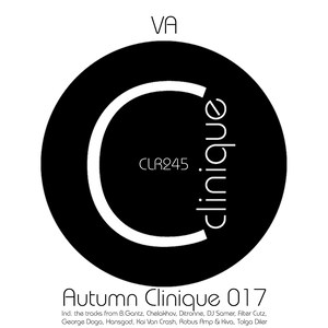 Autumn Clinique 017