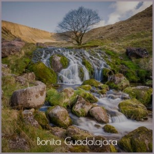 When Your Lover Has Gone