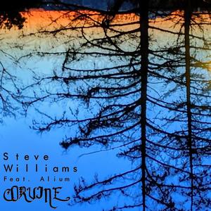 Corvine(feat. Alium) (Explicit)