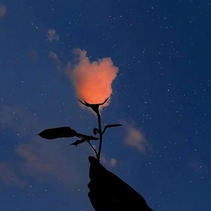 与我无关 (等不到你晚安)-Moon