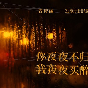 曾诗涵 - 你夜夜不归我夜夜买醉