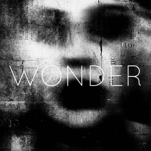 Wonder (feat. Ruelle) [Explicit]