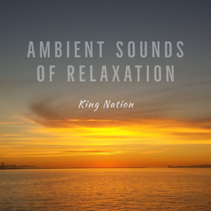 Ambient Sounds of Relaxation