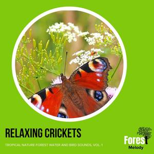 Rain Shower and Birdsong