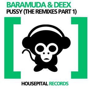 Pussy (Ben Bastion Remix|Explicit)