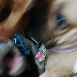 CR4CKH34D 3N3RGY (Explicit)