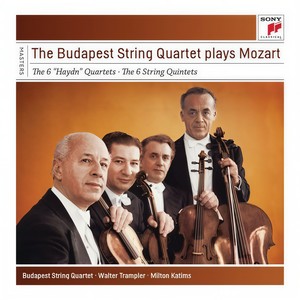 Quintet No. 5 in D Major for Strings, K. 593 - IV. Allegro (第四乐章，快板)