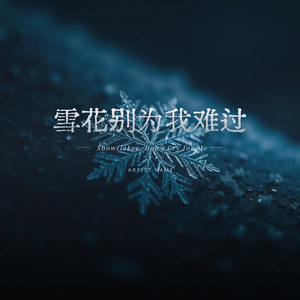 雪花别为我难过-代有才