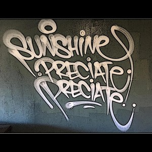 Sunshine(Preciate Preciate) (Explicit)