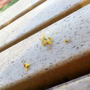 我在那一角落患过伤风 (特别版 )