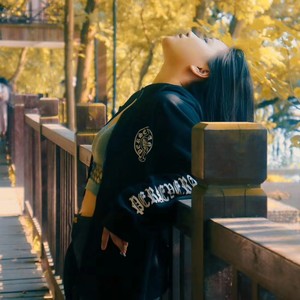 所念皆星河