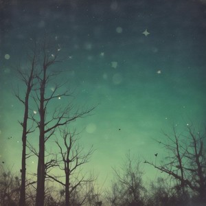 The Silence Wasn't Empty