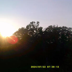 seraphh - the flower song