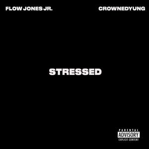 Stressed(feat. CrownedYung) (Explicit)