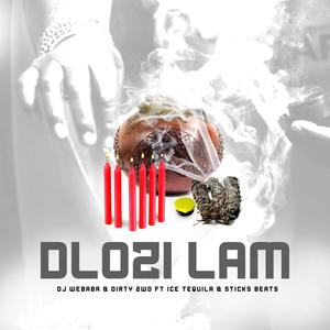 Dlozi Lam (feat. Ice Tequila & Sticks Beats)