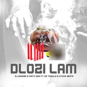 Dlozi Lam (feat. Ice Tequila & Sticks Beats)
