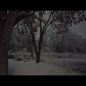 cuts on my arms (feat. ilyzayy & kirei) (Explicit)
