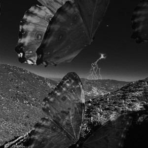 ****** Butterflies for Josephine