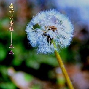 瓜瓜 - 疫往情深