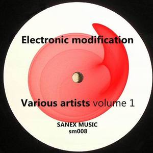 Electronic Modification, Vol. 1