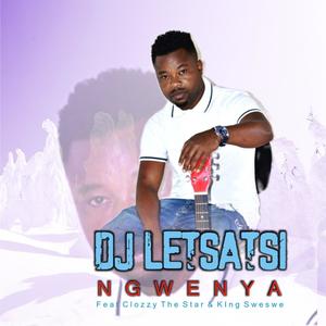 Ngwenya (feat. Clozzy the star & King sweswe)