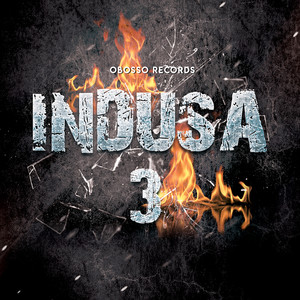 INDUSA 3