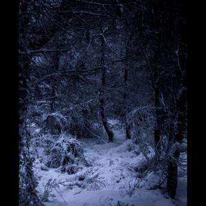 YOU (feat. eastthekid) (Explicit)