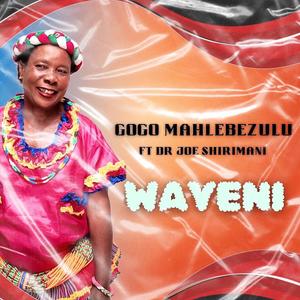 Wayeni (feat. Dr Joe Shirimani & Gaceni)