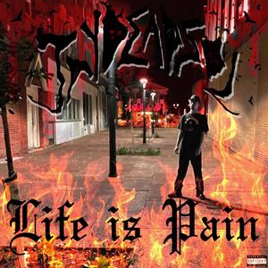 Life is Pain (Explicit)