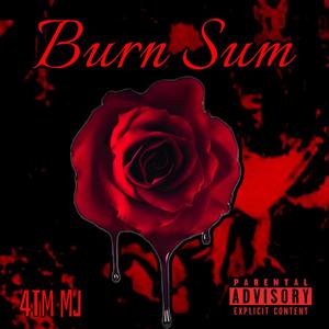 Burn Sum (Explicit)