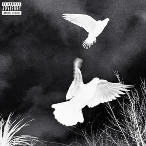 RIC FLAIR (Explicit)